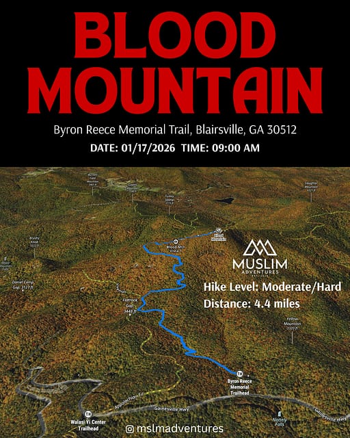 Blood Mountain — photo 7